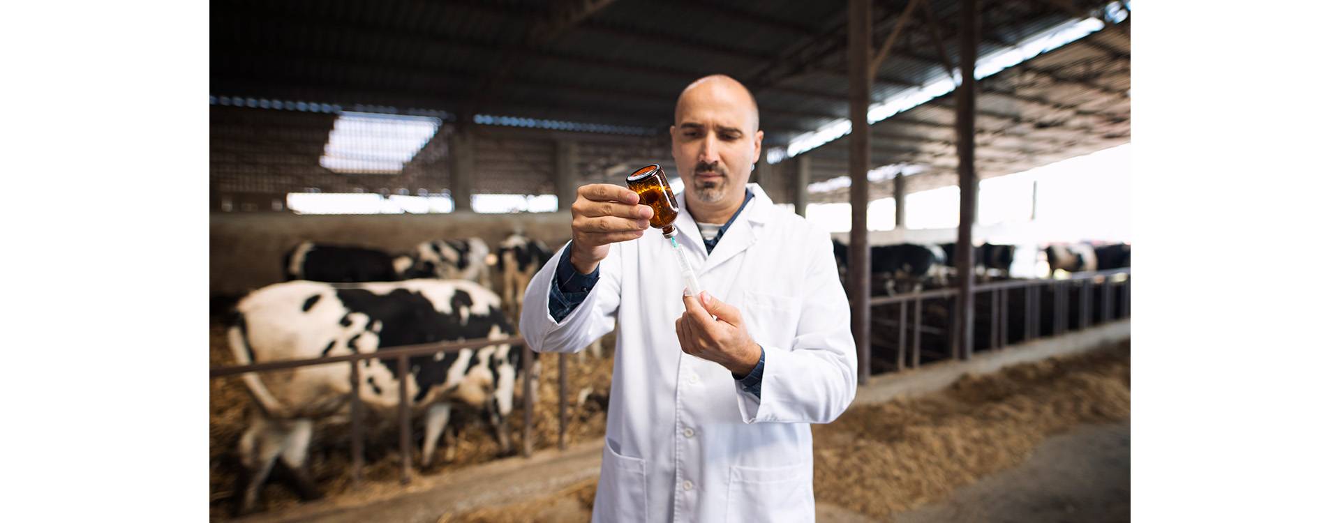 Nutrición inteligente: suplementos minerales que marcan la diferencia en el rendimiento animal