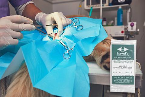 Agujas de sutura: Herramientas esenciales en la atención veterinaria